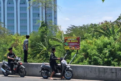 Ramai Penemuan Buaya di Surabaya Timur, Ecoton: Momen Menjaga Kesetimbangan Ekosistem